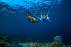 Photo of person underwater with turtle during some of the best snorkeling in maui
