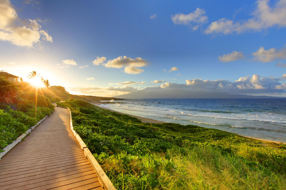 Photo of a walking trail with a boardwalk: one of the best free things to do in Maui
