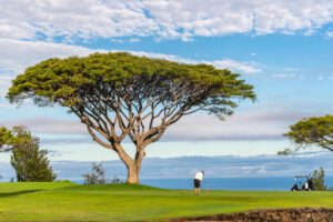 Photo of Hawaiian golf course during Maui golf tournament