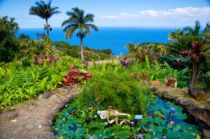 Photo of Maui botanical gardens pathway