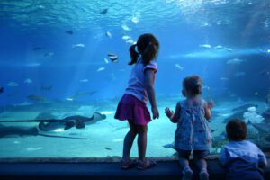 View of kids at a Maui Museum looking at an aquarium